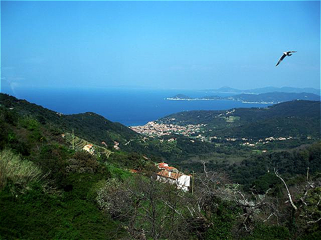 Blick von Marciana Alta auf Marciana Marina
