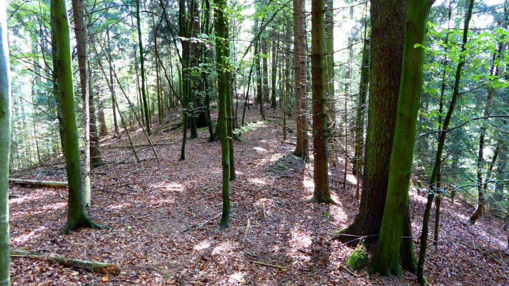 Ein mächtiger Erdwall erstreckt sich nach Süden