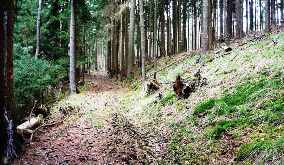 Westseite der Anlage