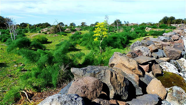 Mächtige Steinmauern - auf dem Weg zur Nuraghe