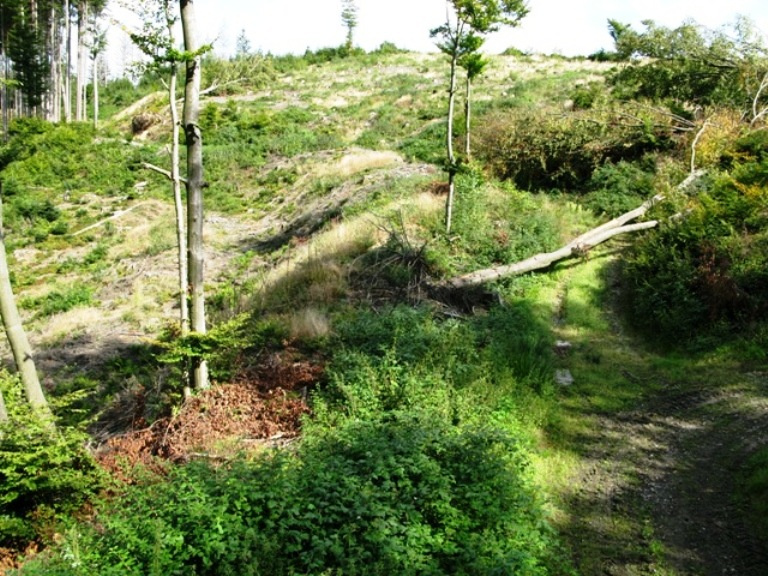 Nordseite mit Doppelwall