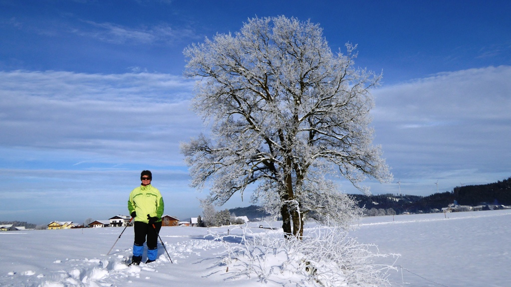 Von Holz nach Igelsberg