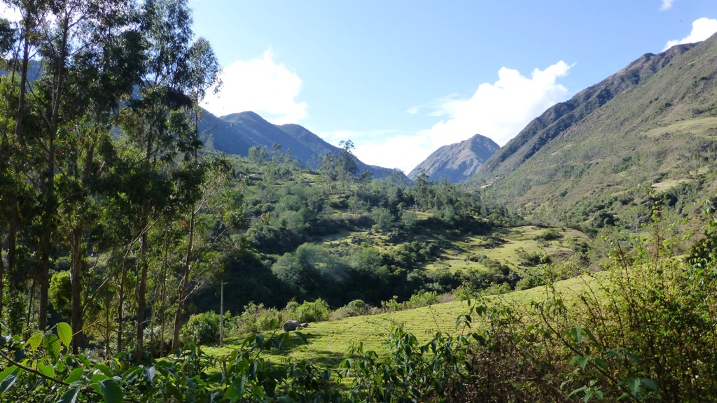 Hinauf durch ein grünes Hochtal