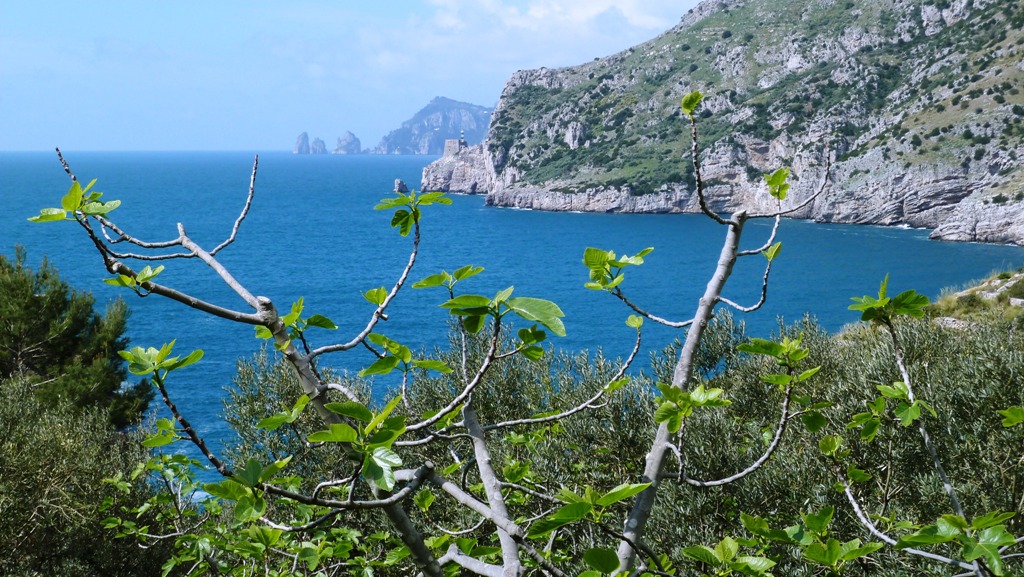 Punta Campanella - dahinter die Insel Capri mit den Faraglioni