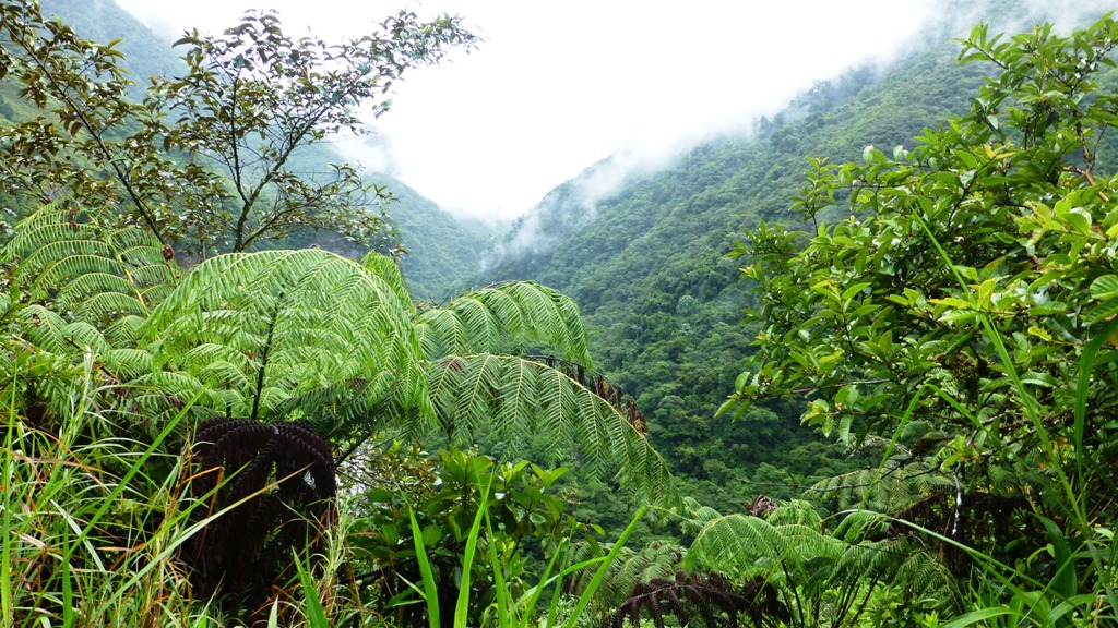 Und es regnet schon wieder !