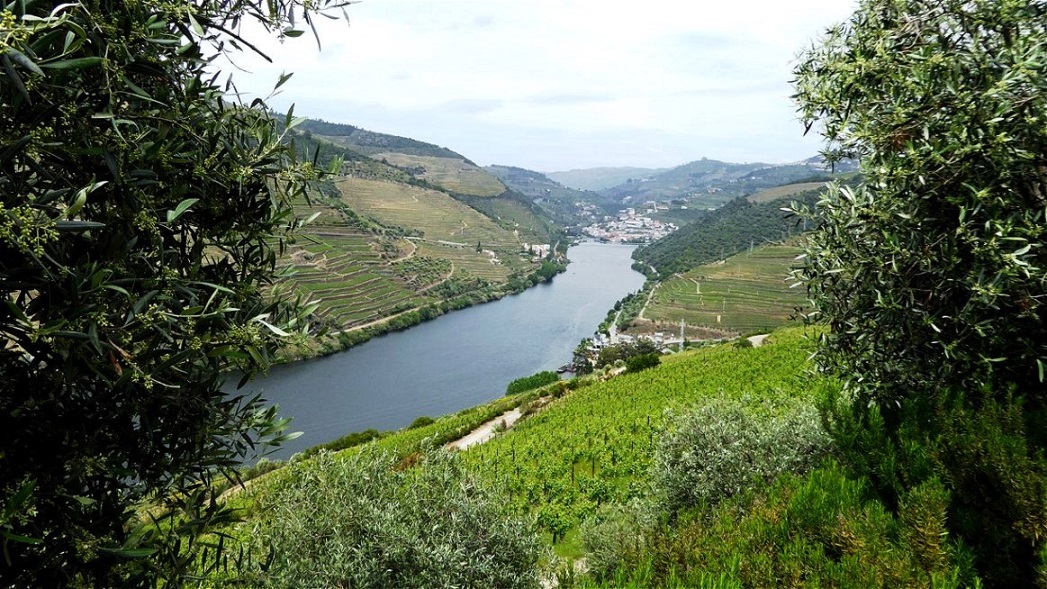 In der Ferne liegt Pinhao