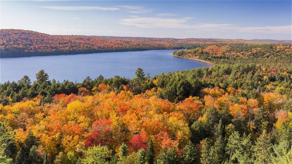 Blick von der Bergstraße