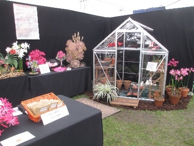 This year's stand incorporated a small greenhouse to demonstrate that Nerine Bowdenii are hardy and that N. Sarniensis need protection.

