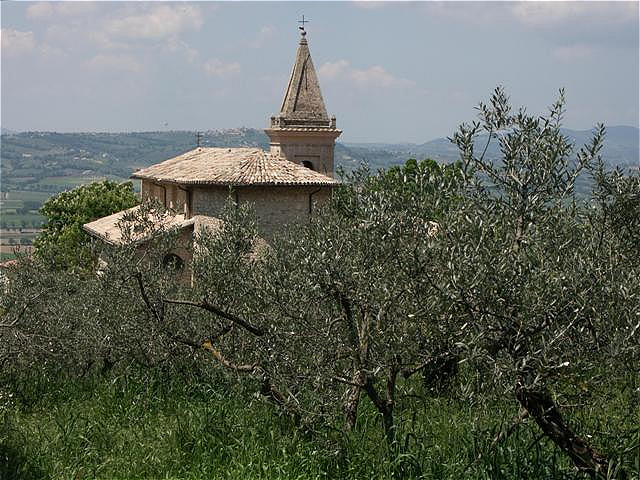 Santa Maria in Valle - inmitten von Olivenhainen