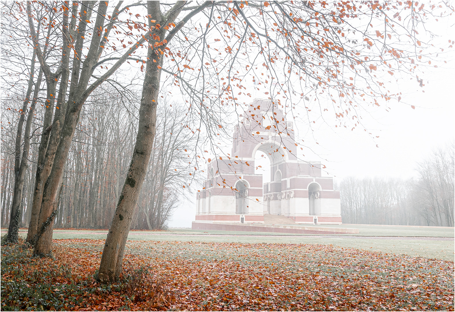 3rd Place: Fallen (John White)