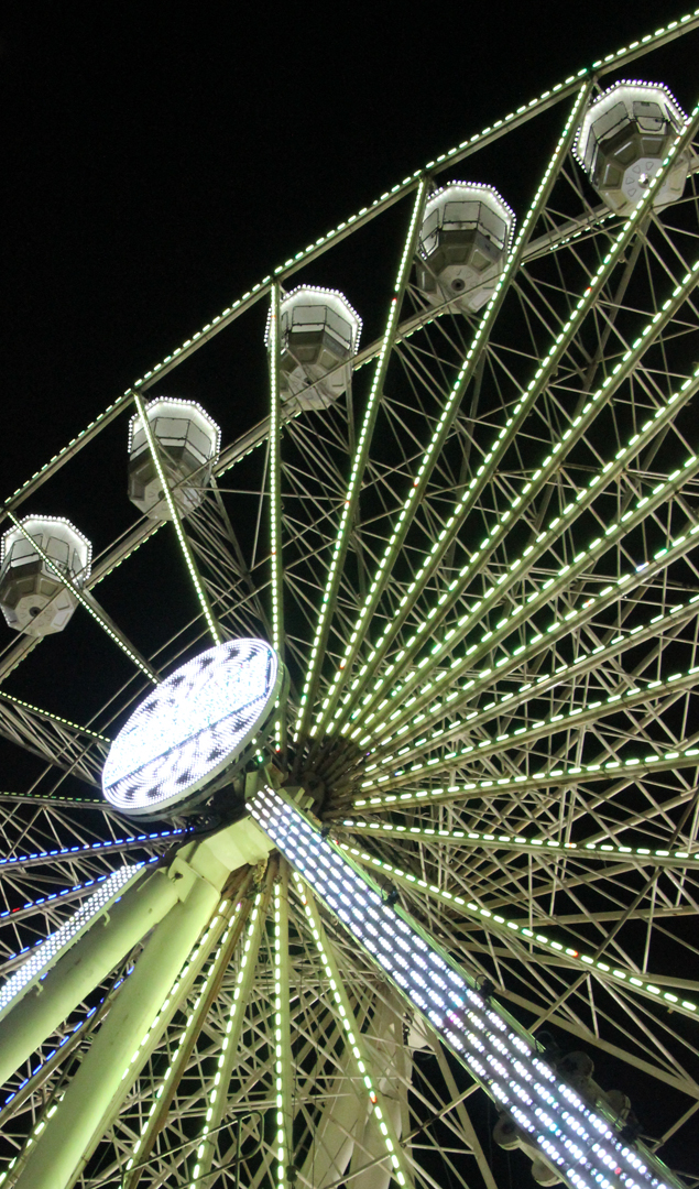 Commended: Green Lights For The High Ride (Delia Kingsbury)