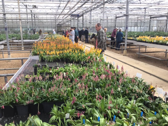 NAAS members in the large greenhouse where the plants are cultivated.