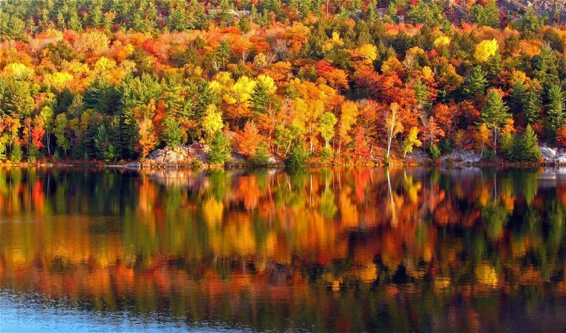 Farben des "Indian Summer"