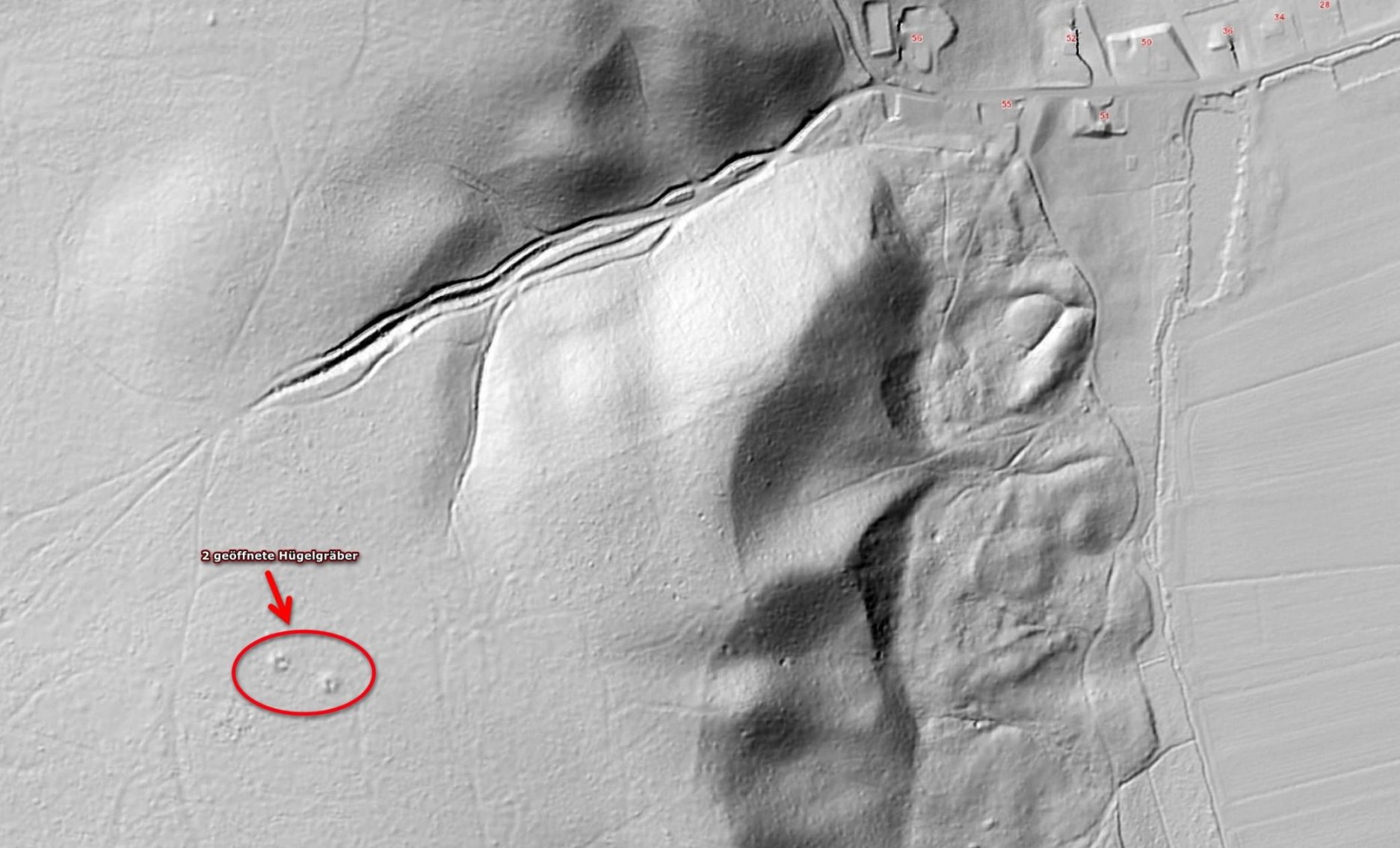 LIDAR-Aufnahme    Hügelgräber Auerbach 1