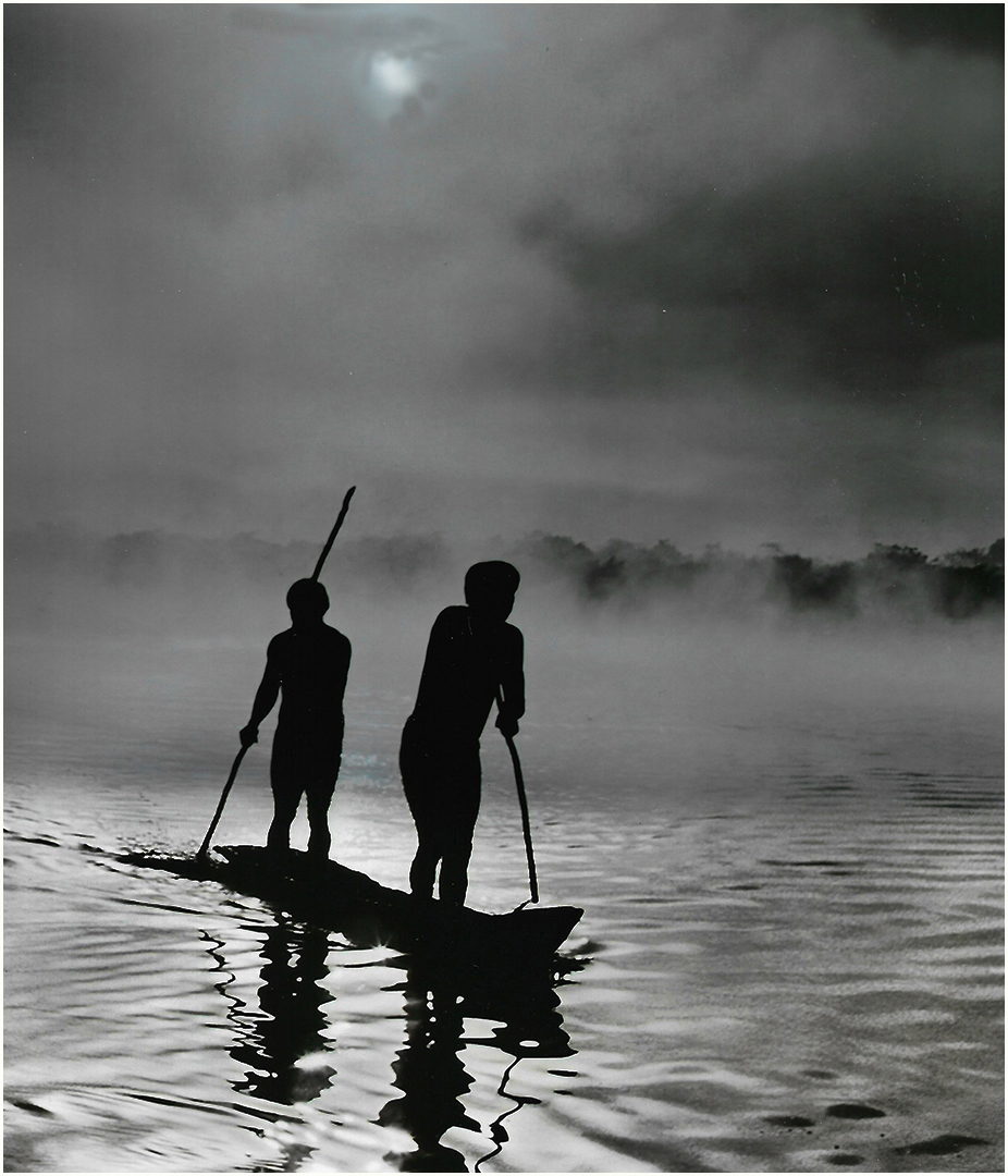 Night Time Paddlers - Dave Ormerod (April 2026)