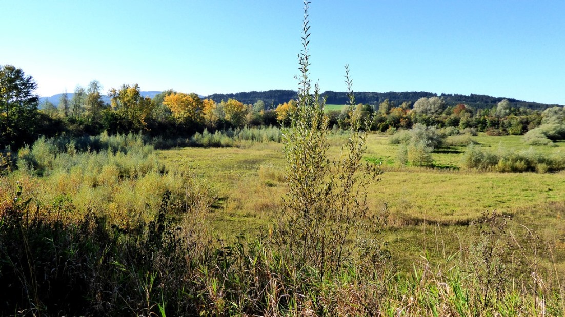 Überschwemmungs-Ausgleichbecken Lengau