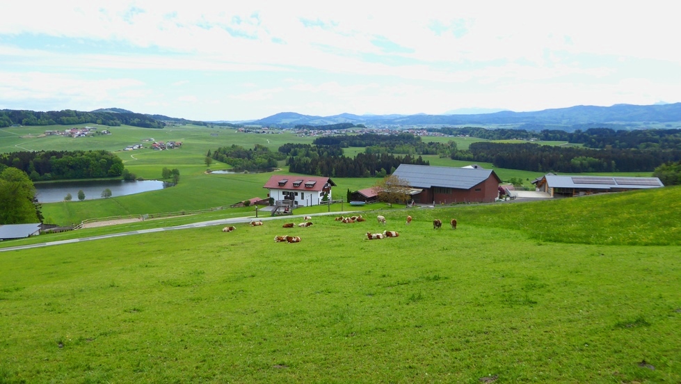 Buchberg mit Mittelegelsee