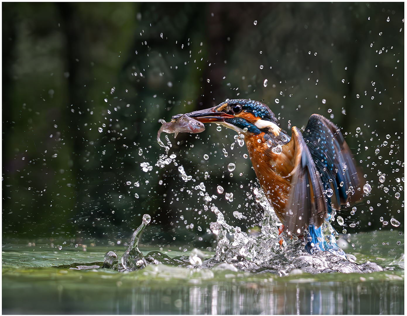 3rd Place: Successful Fishing Trip (Paul McKenzie)