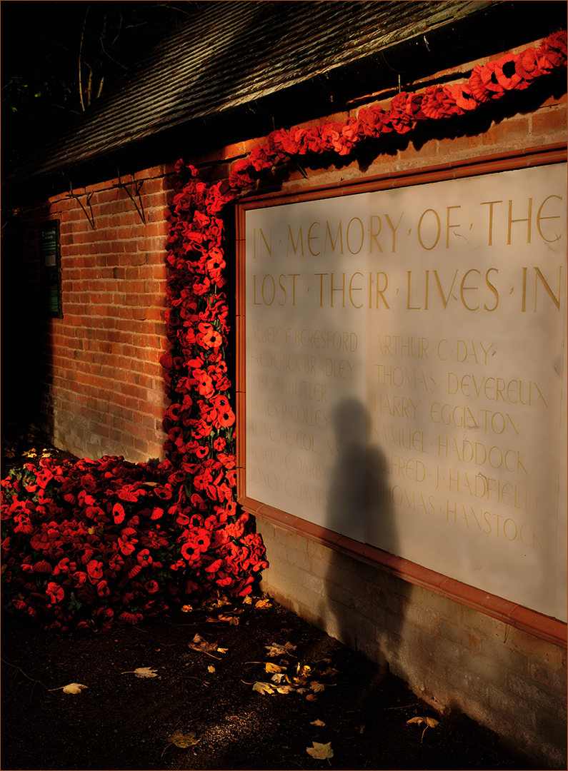 2nd Place: Sunset Salute (Tony Davey)