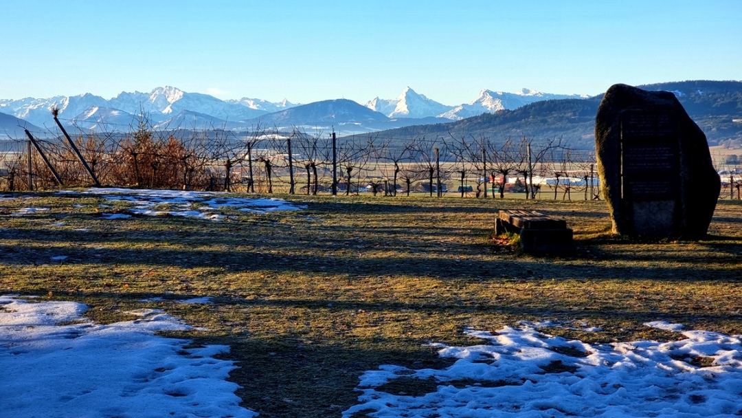 Bald erfolgt der Winterschnitt