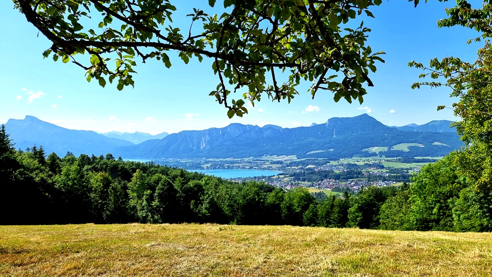 14. Juni 2023 - Mondseeberg-Runde