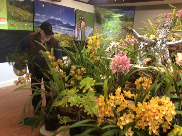 Orchids were also included in the display.