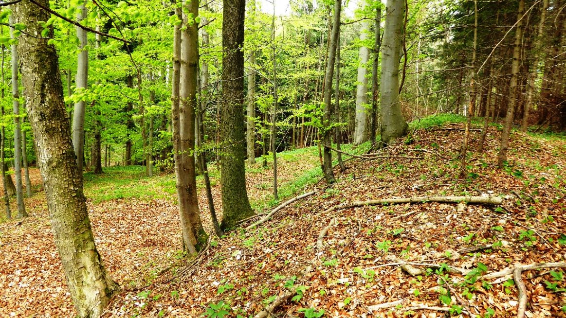 Wallverlauf nach Norden