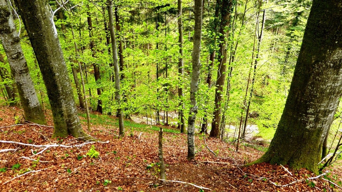 Steiler Geländeabfall nach Osten
