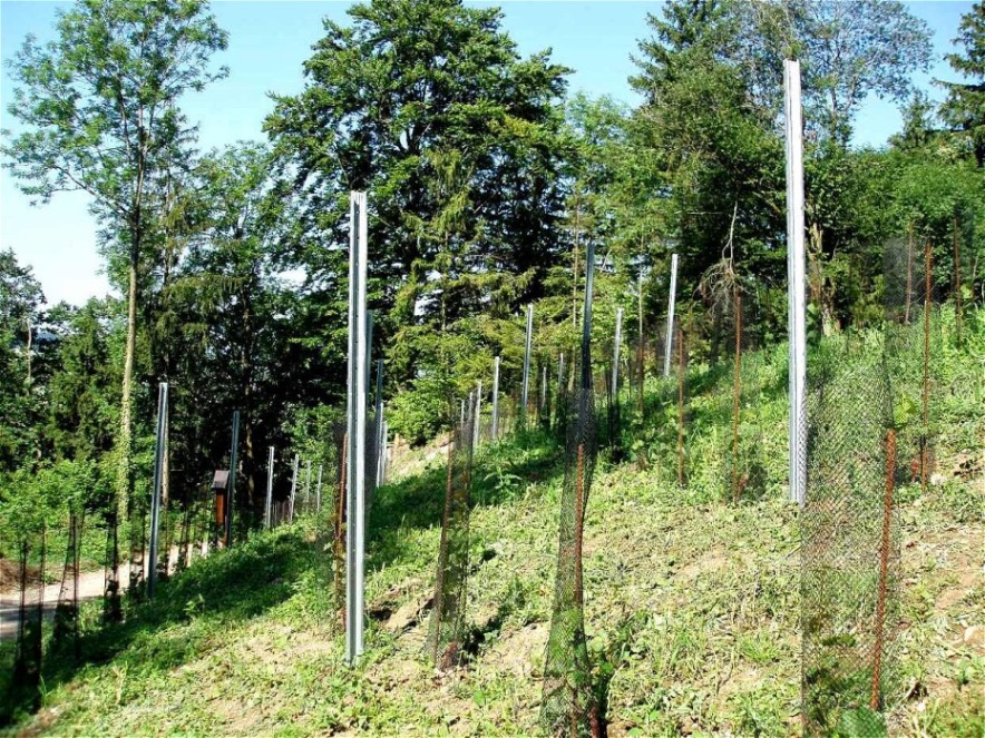 Später werden die Haltedrähte gespannt