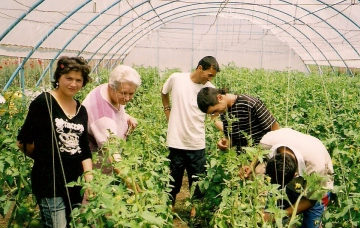 the Greenhouse Project
