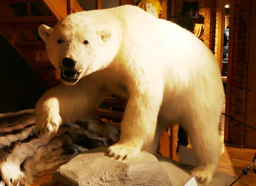 Begegnung, Gott sei Dank, nur im Sportgeschäft !