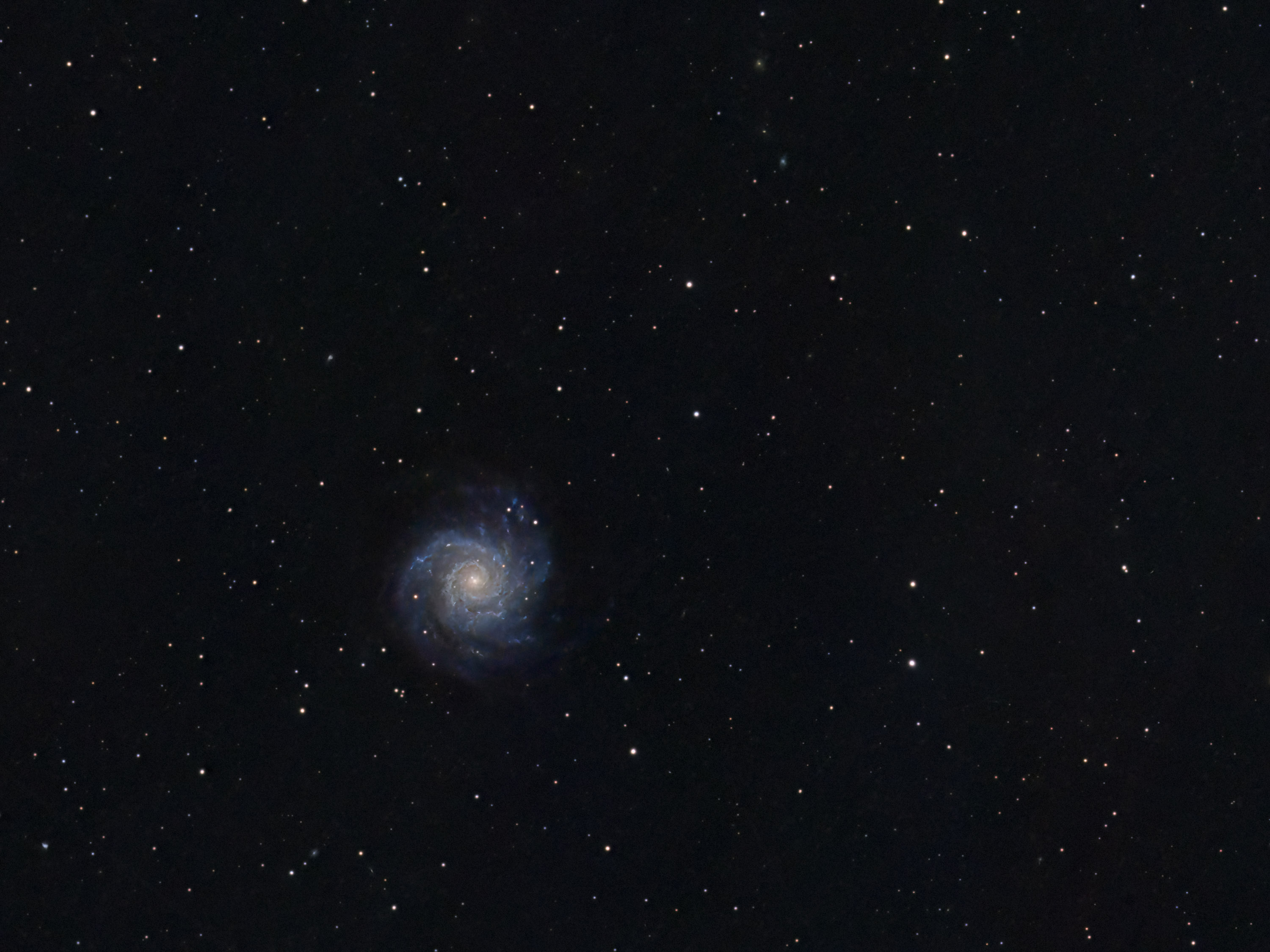 M 74 Nikon 600mm f/4 and 1.4 TC (840mm) at f/5.6.
7 h 15' (15' subframes) at ISO 800
18th, 19th and 22nd of January 2025