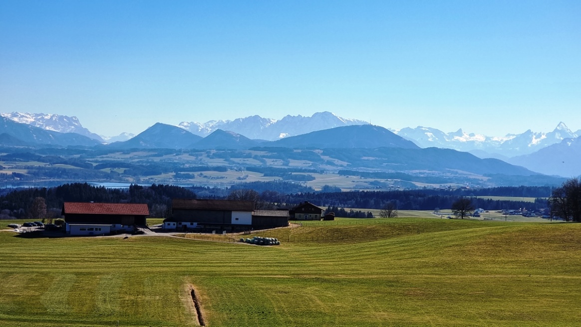 Der Wallersee grüßt herüber