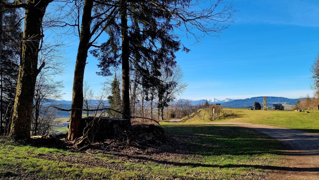 21. März 2025 - Auf der Burgstall 