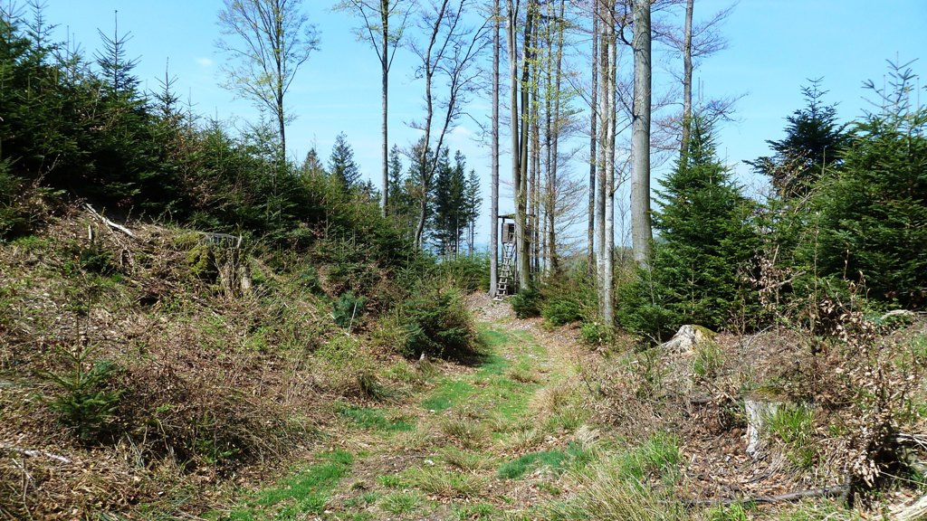 Im Graben auf der Nordostseite