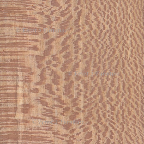 London Plane - limited stock of dry boards