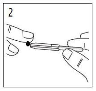 Allergo CHECK odvzem vzorca krvi.