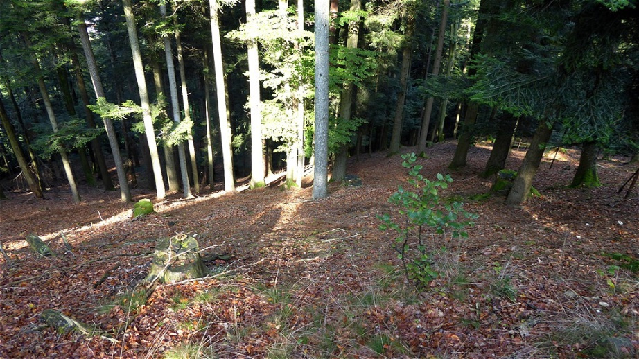 Tiefblick auf die Aufstiegsroute