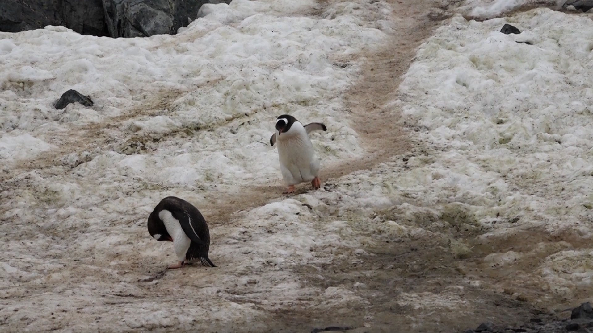 Jetzt geht es ab ins Wasser !