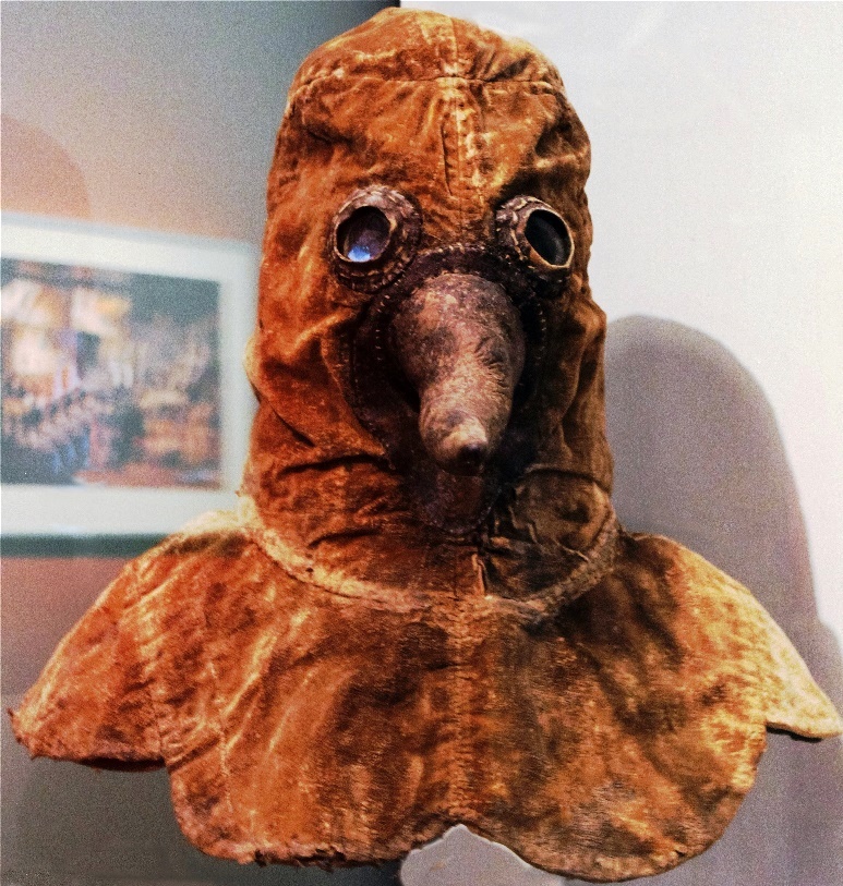 Pesthaube - Im Schnabel Kräuter und Essigschwämme als Luftfilter