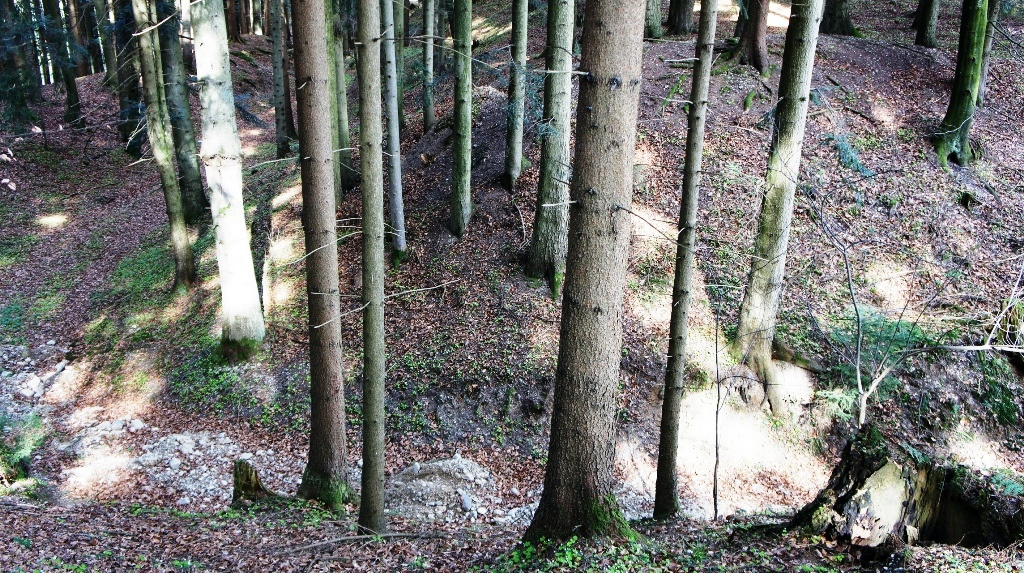 Stand auf dem äußeren Wall - Blickrichtung Norden ins Innere