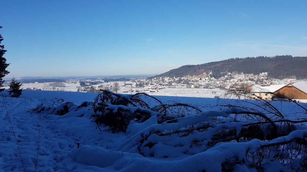 Friedburg am Südabfall des Kobernaußerwaldes