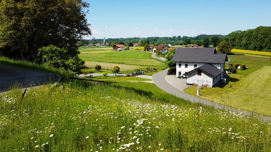 Blick aus dem Friedhofstor in Richtung Helpfau