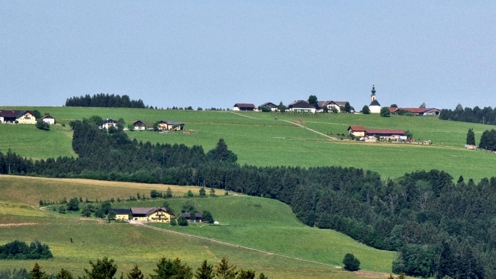 Sommerholz