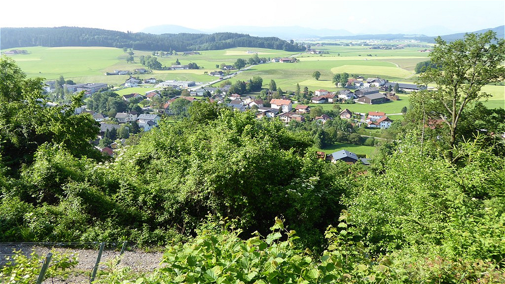 Krenwaldblick