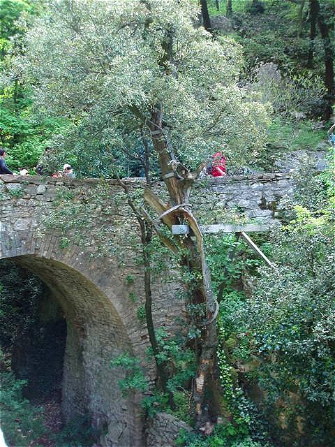An einer steinernen Brücke steht noch der Olivenbaum, 
in dessen Zweigen, der Legende nach, die Vögel Franziskus' Predigt gelauscht haben sollen