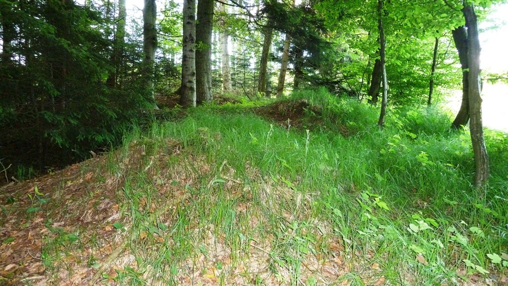 Gras überwuchert das keltische Hügelgrab