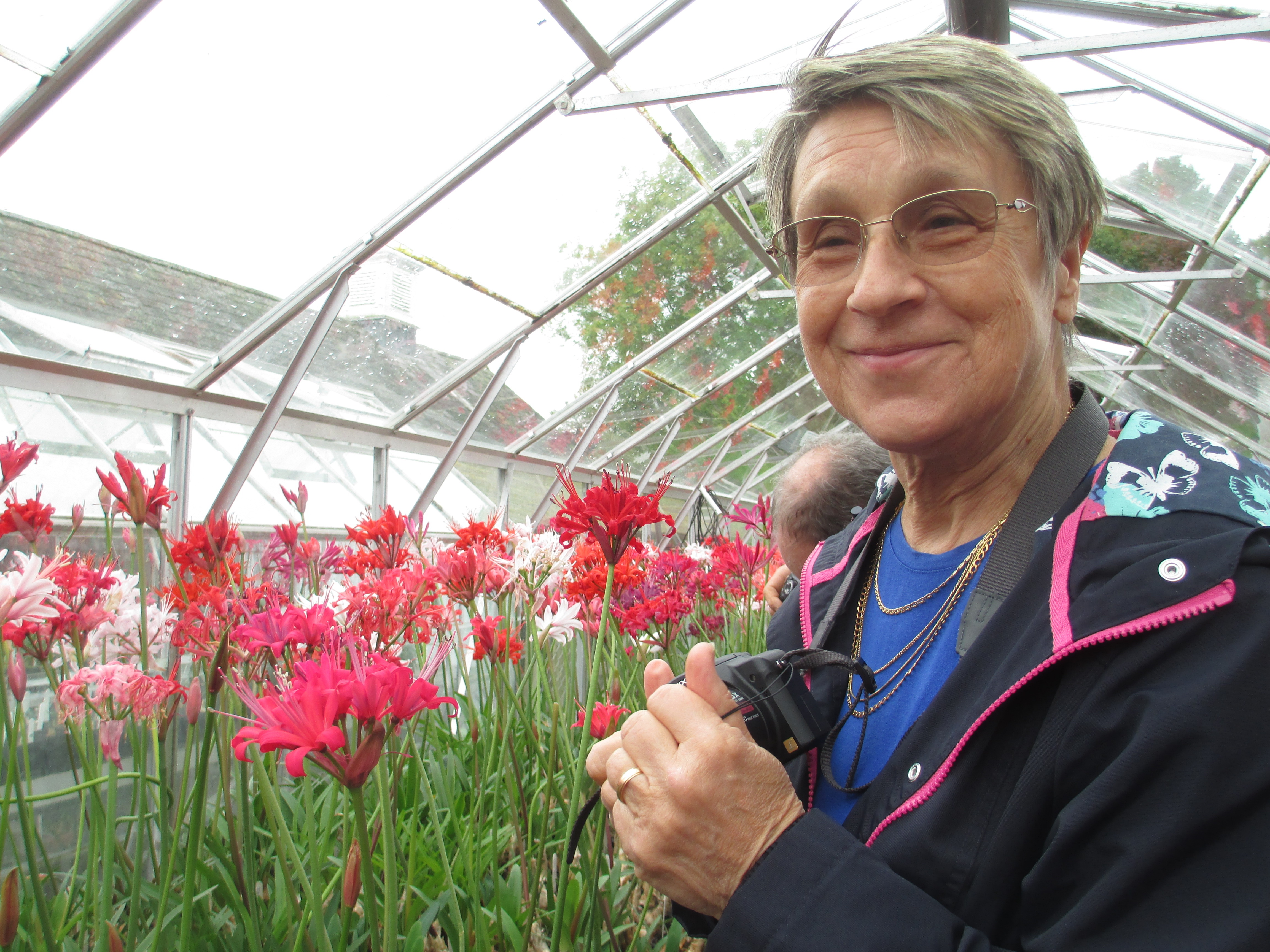 NAAS Committee member Alina admiring the nerine sarniensis plants which all need the protection of a glasshouse.