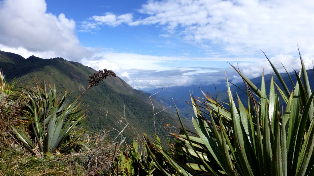 Blick zurück ins Vilcabambatal