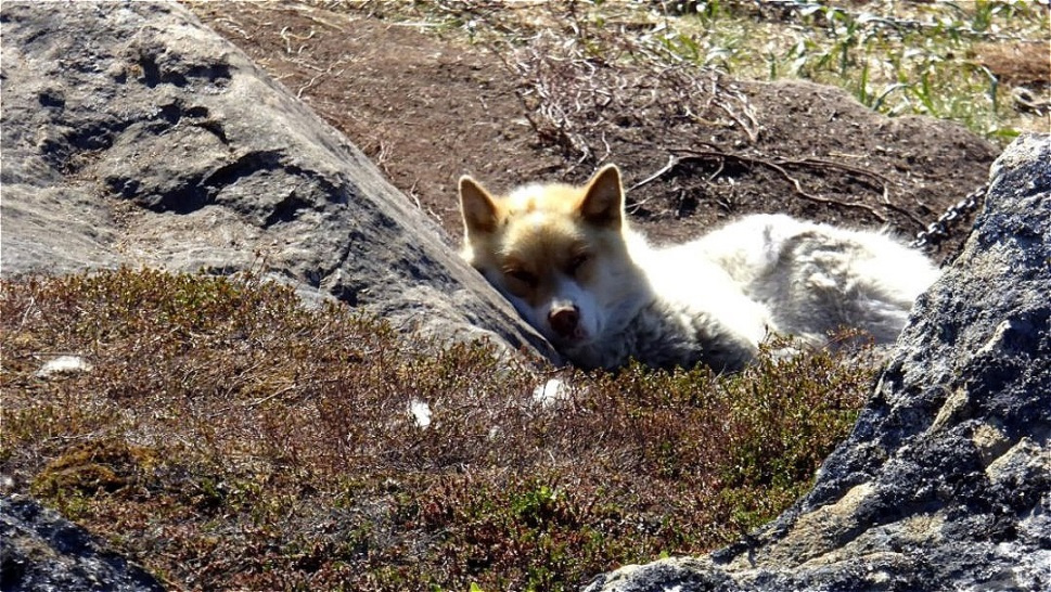 Die Sonne genießen !